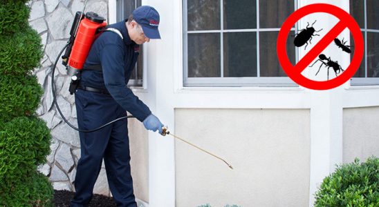 Zile Kemirgen İlaçlama böcek ilaçlama ve haşere kontrolü — ilaclama-tr.com